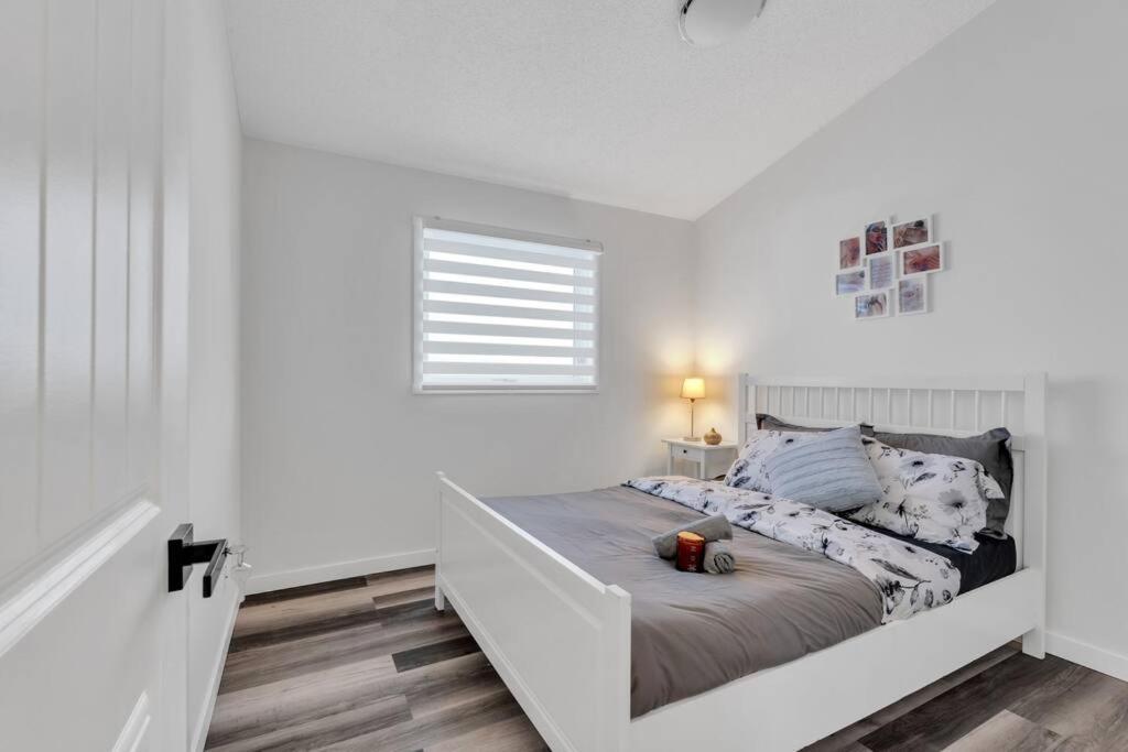 Modernoasis With Ac&Movieroom Close To Downtown15' Banff 60' 卡加利 外观 照片